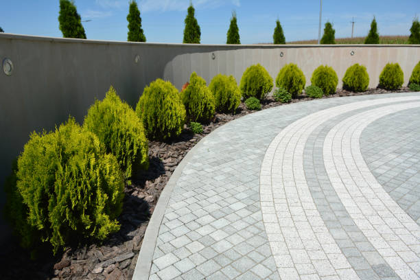 Best Decorative Driveway Pavers  in Monticello, AR